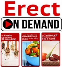 Erect On Demand System Review